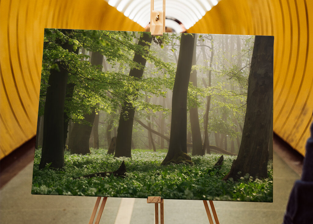Il rigoglioso bosco di aglio orsino