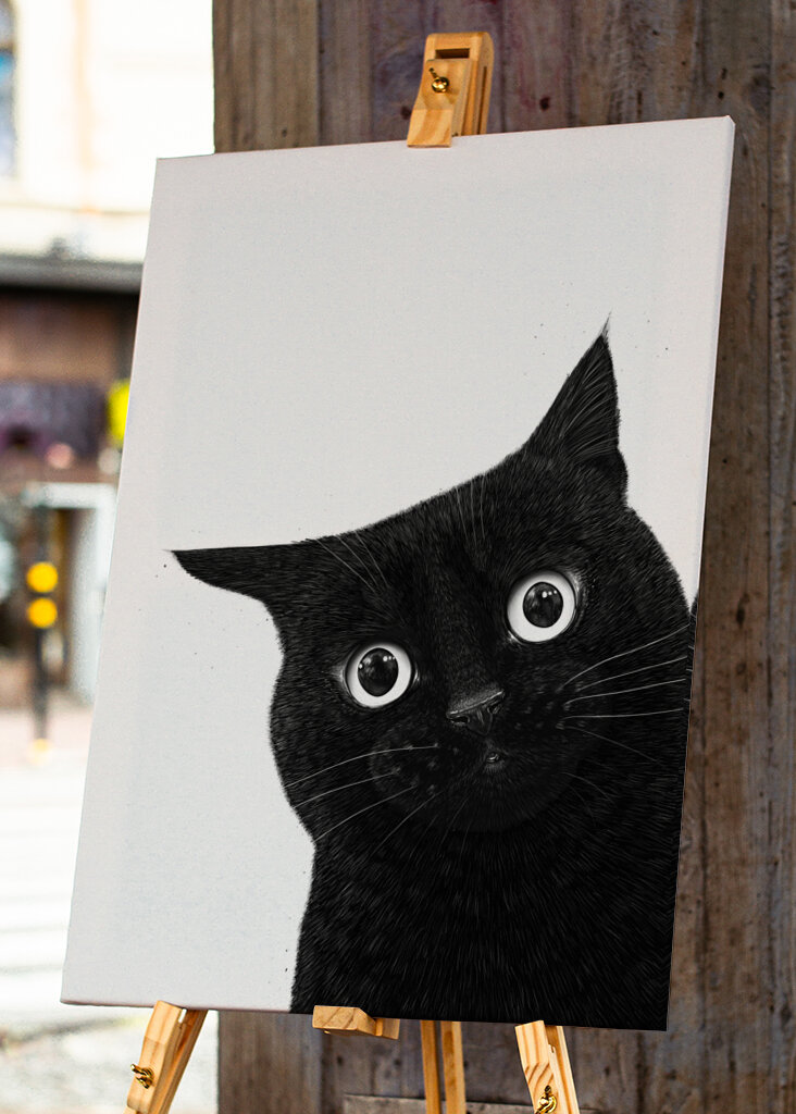 Funny peeping black cat