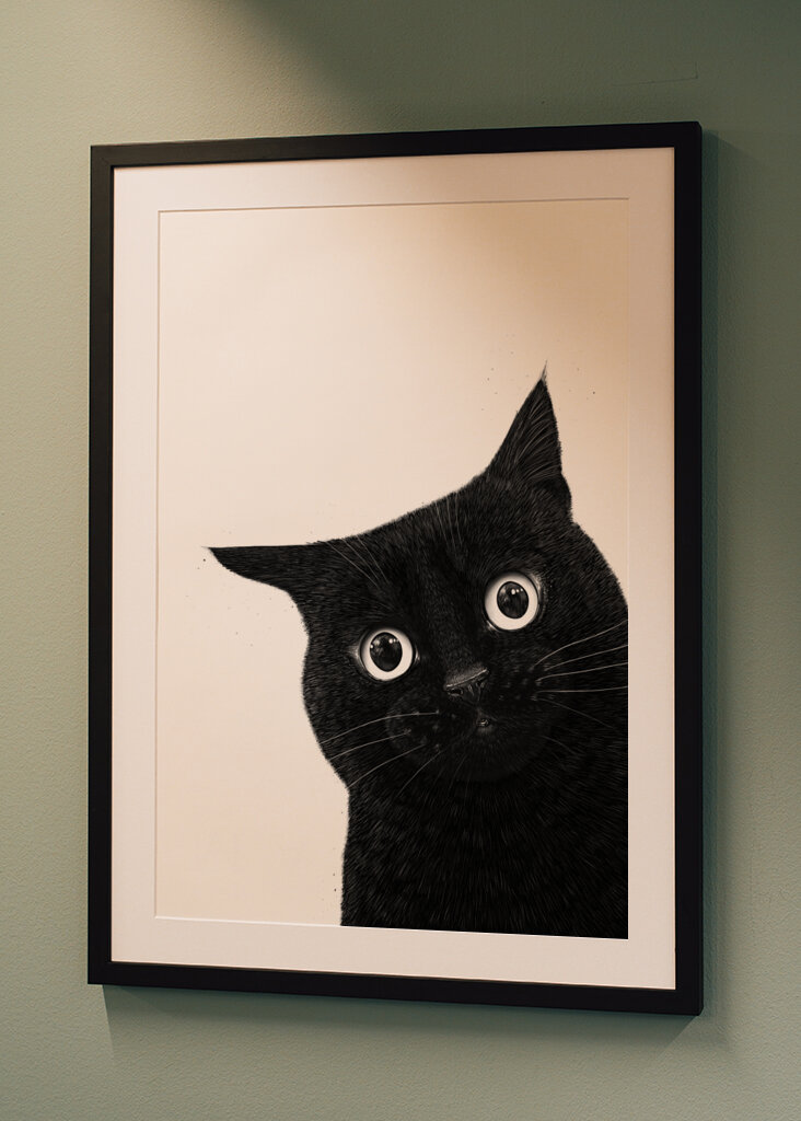 Funny peeping black cat