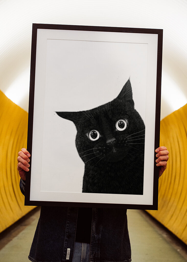 Funny peeping black cat