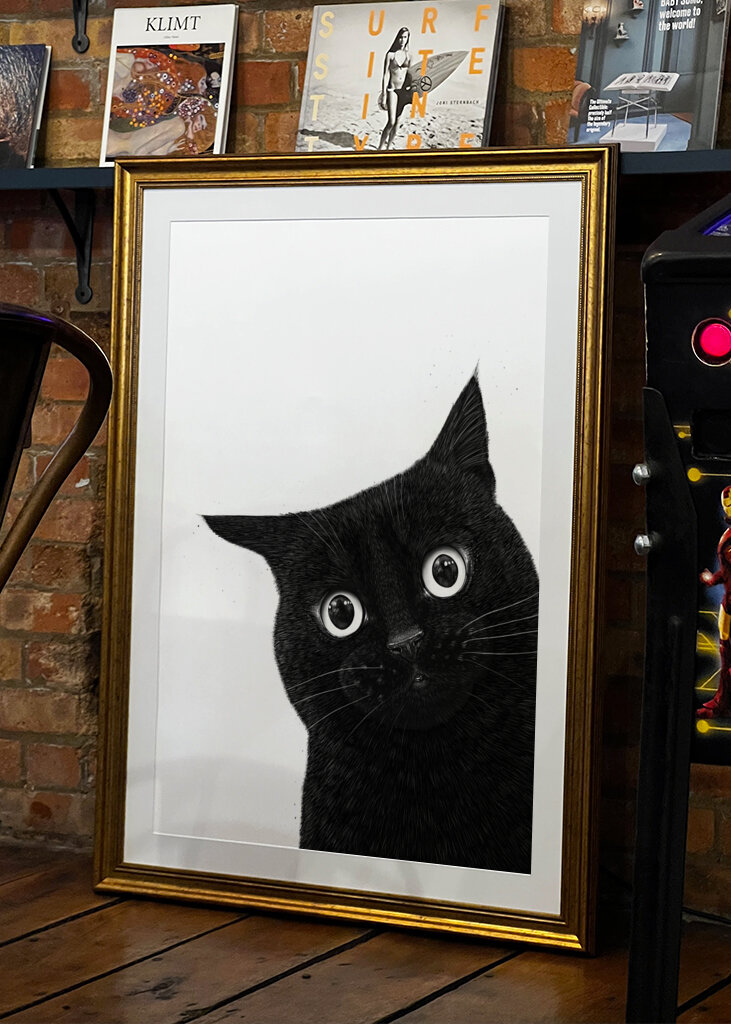 Funny peeping black cat