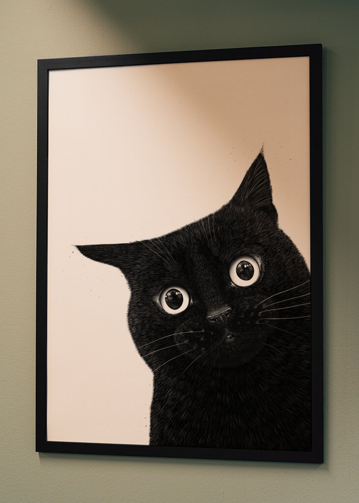 Funny peeping black cat