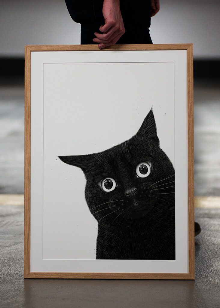 Funny peeping black cat