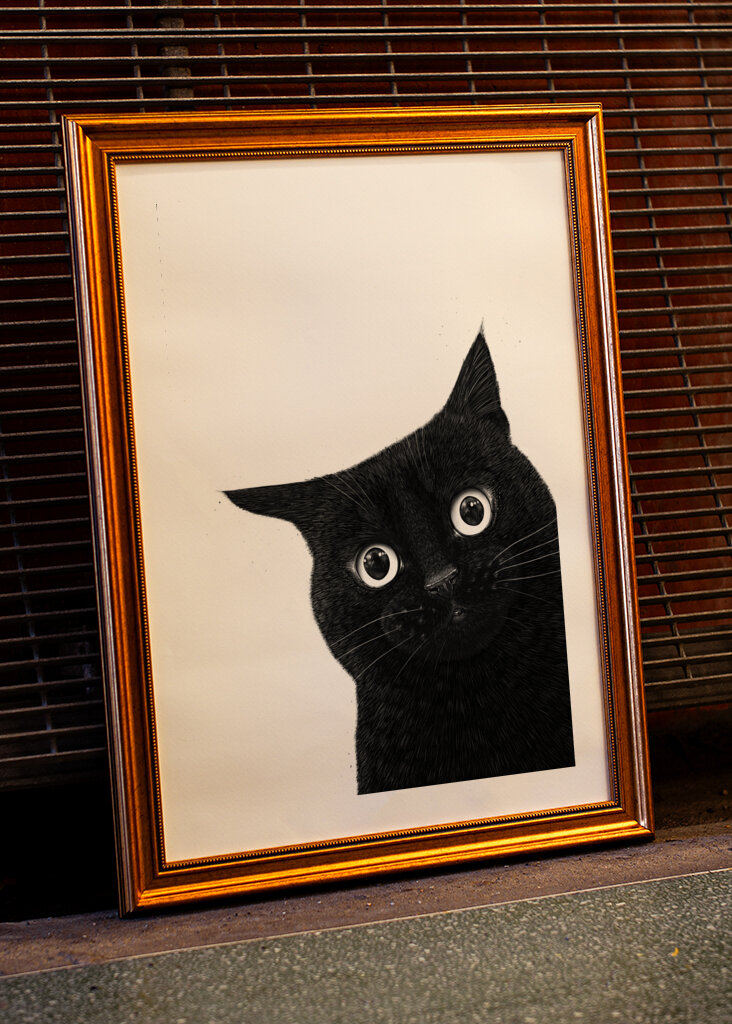 Funny peeping black cat