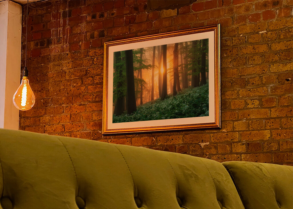 Alba nel bosco dell'aglio