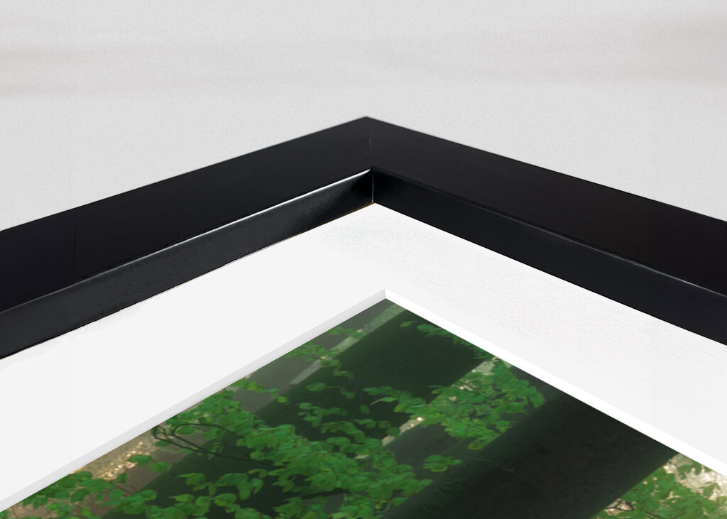 Alba nel bosco dell'aglio