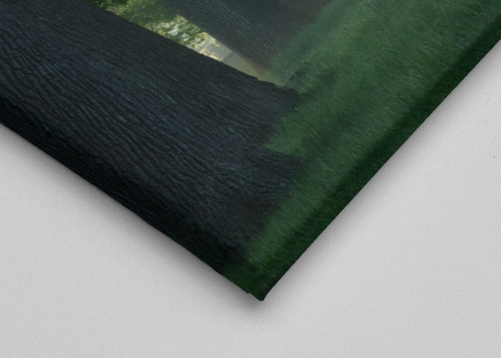 Lesní cesta se slunečními paprsky