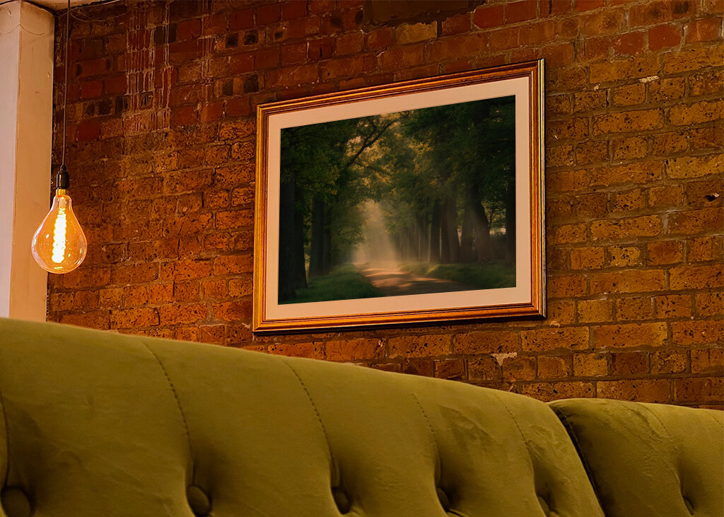 Lesní cesta se slunečními paprsky