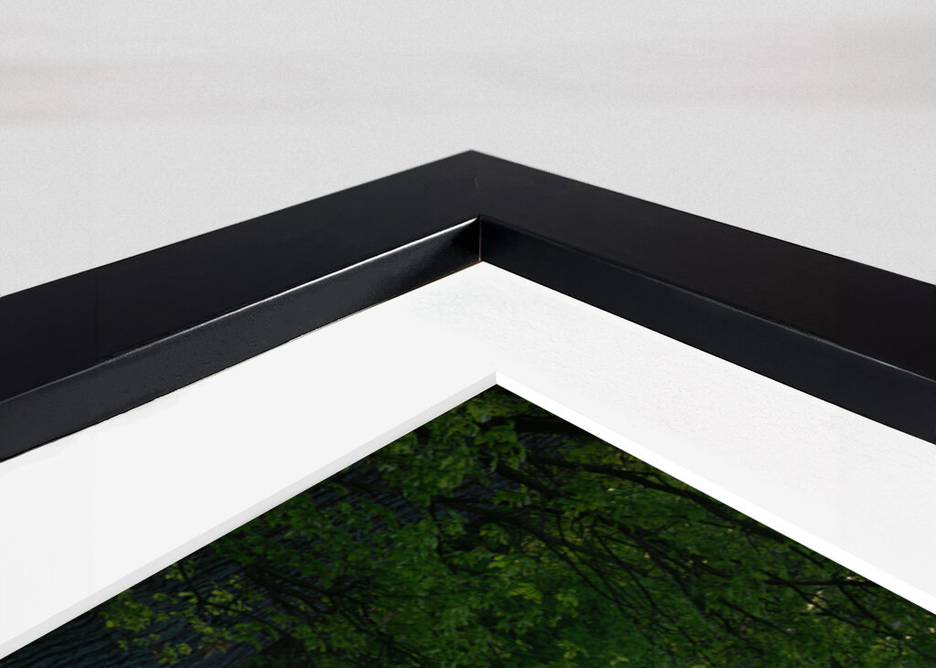 Lesní cesta se slunečními paprsky