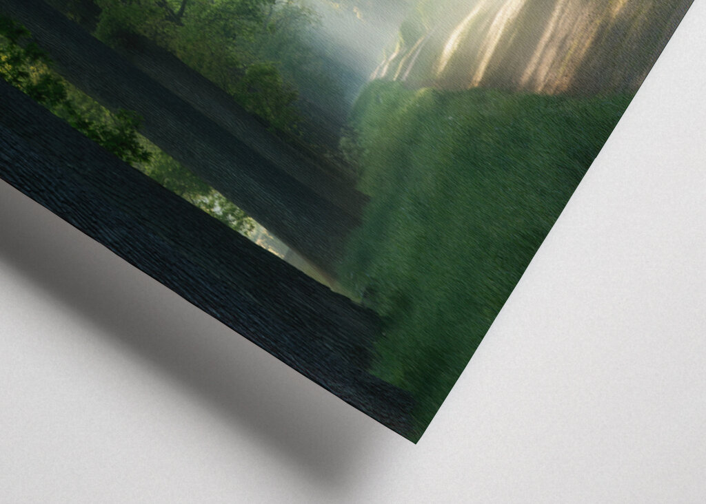 Lesní cesta se slunečními paprsky