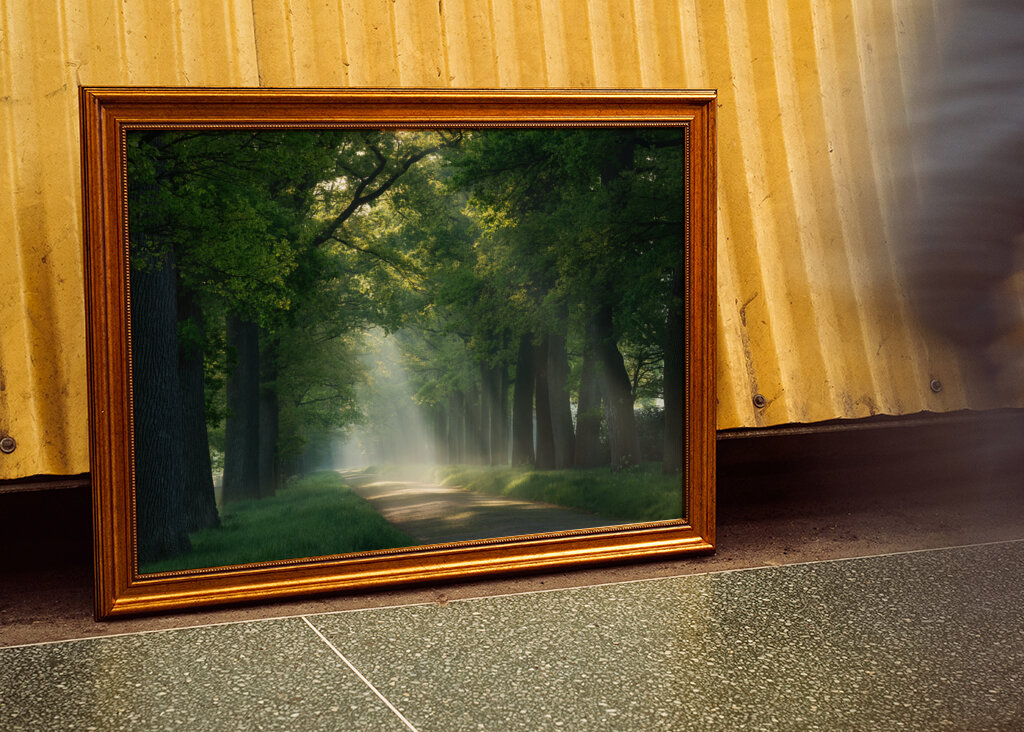 Lesní cesta se slunečními paprsky