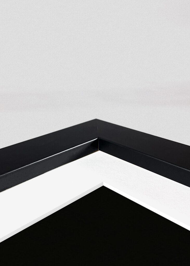 Motivational Poster Dream