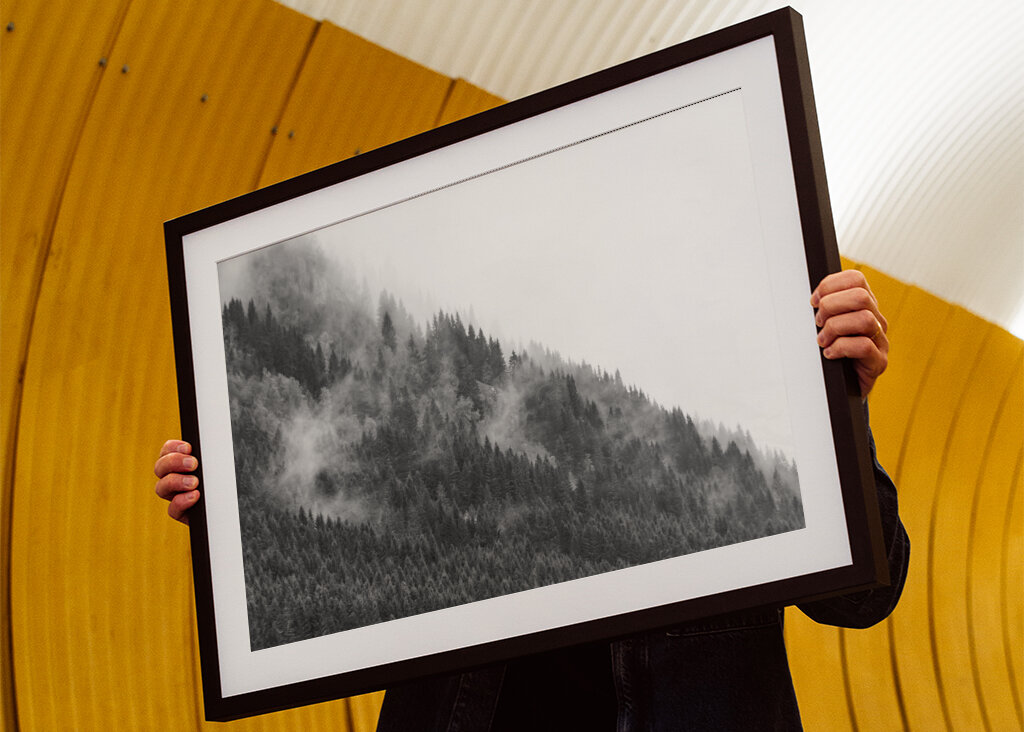 Foresta di montagna nella nebbia