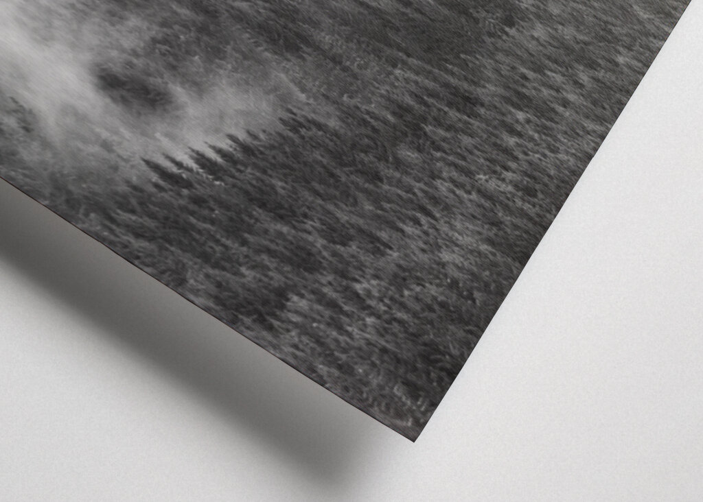 Foresta di montagna nella nebbia