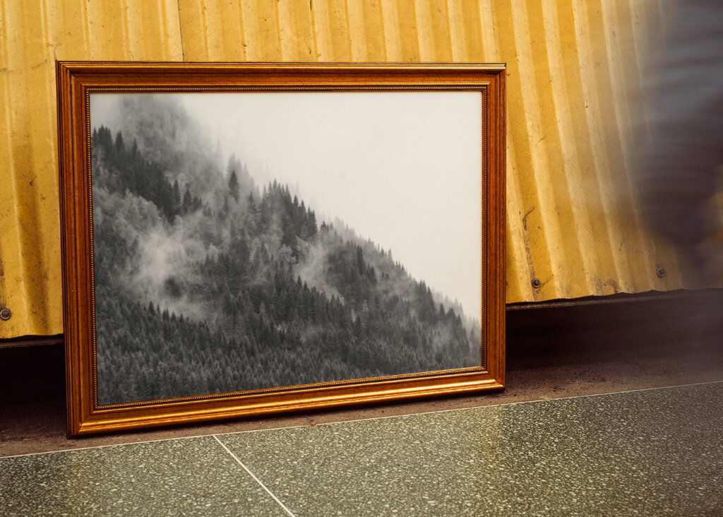 Foresta di montagna nella nebbia