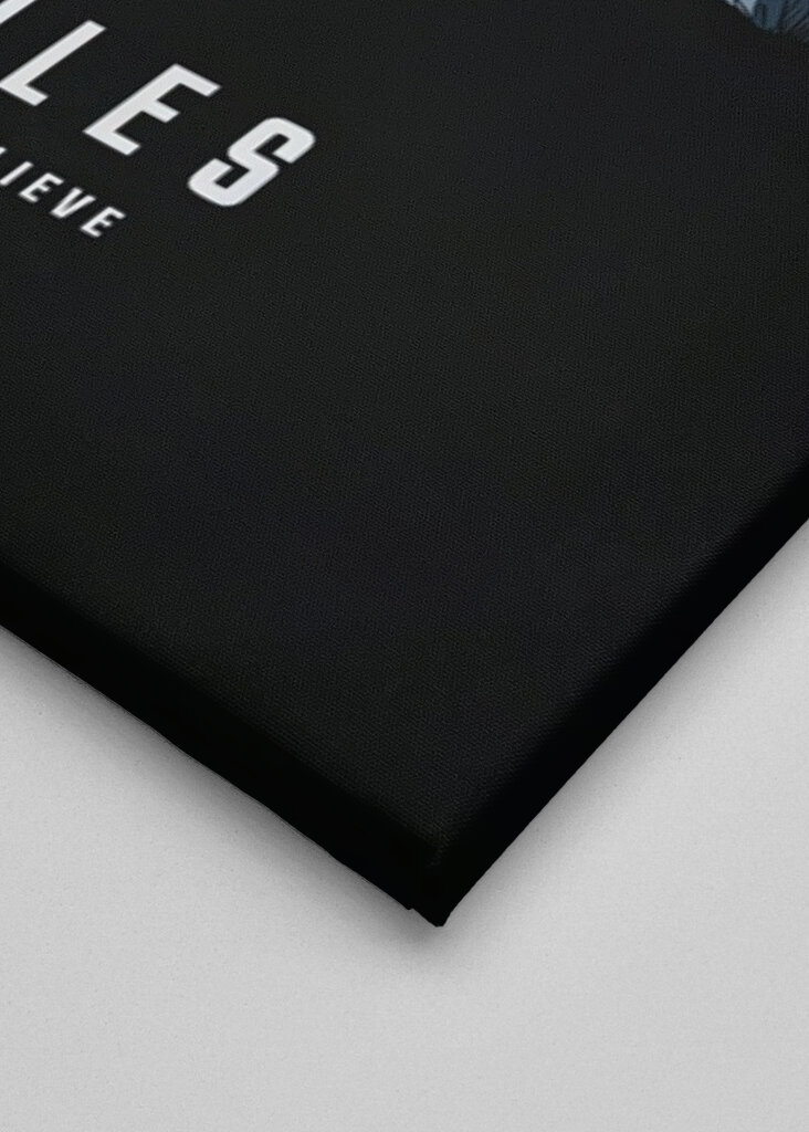 The X-Files UFO Poster