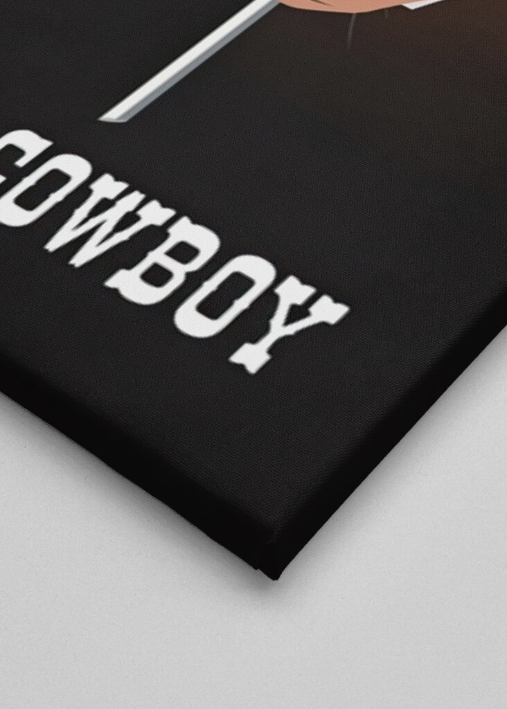 Canta come un cowboy