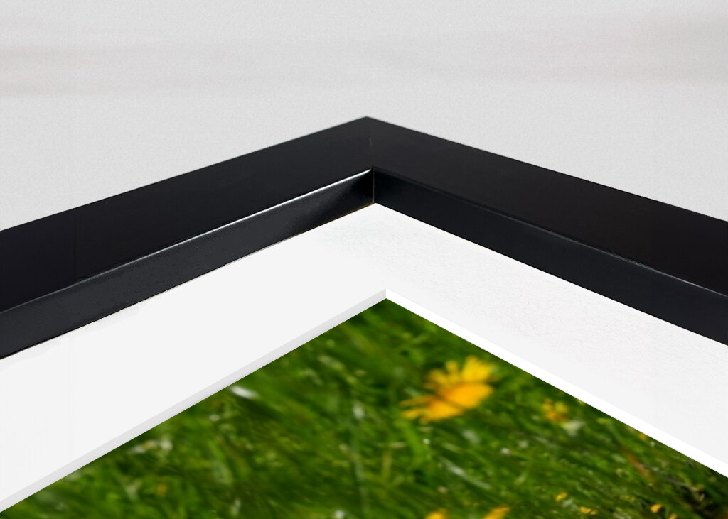 Paisaje primaveral de Liechtenstein