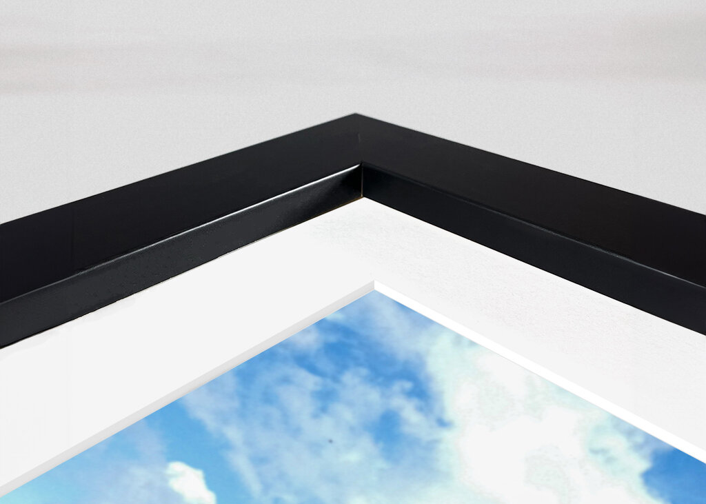 Papavero in un campo di grano