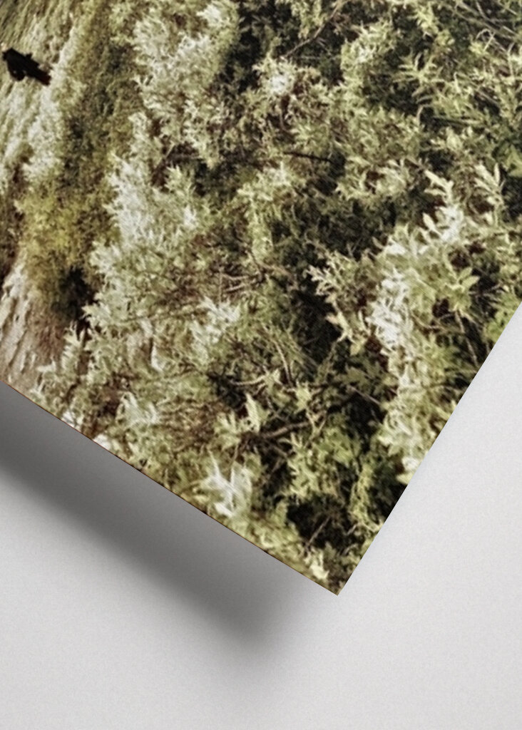 Faith can move mountains.