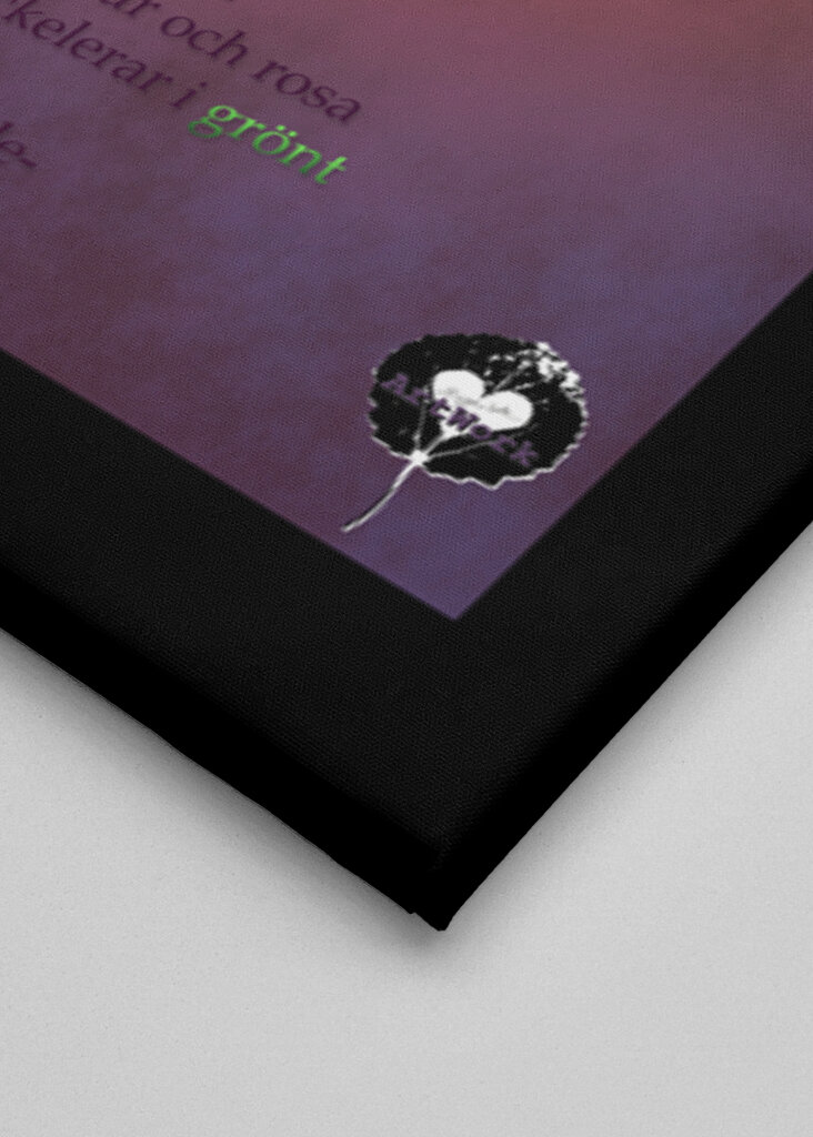 Gazing at the norden lights