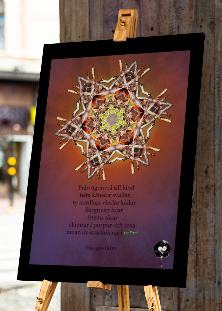 Gazing at the norden lights