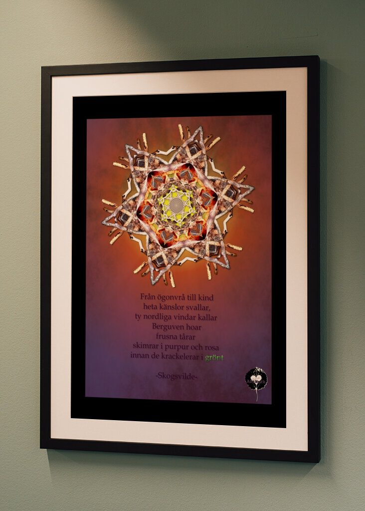 Gazing at the norden lights