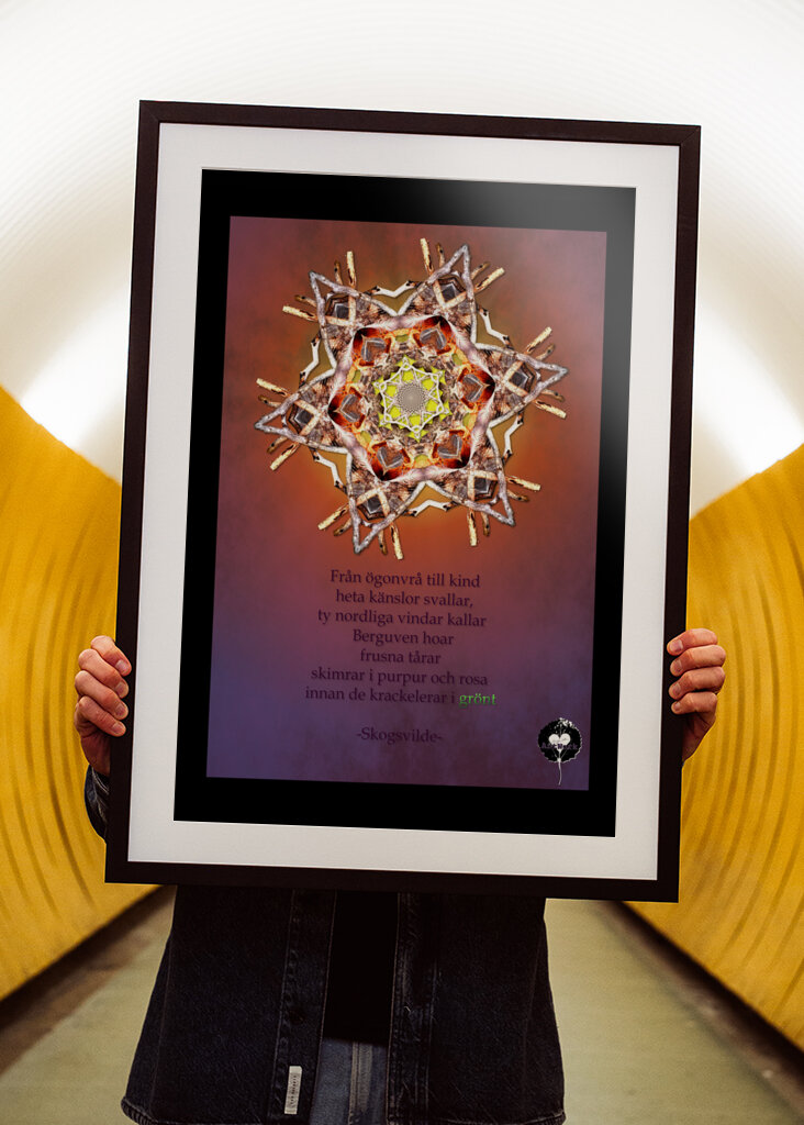 Gazing at the norden lights