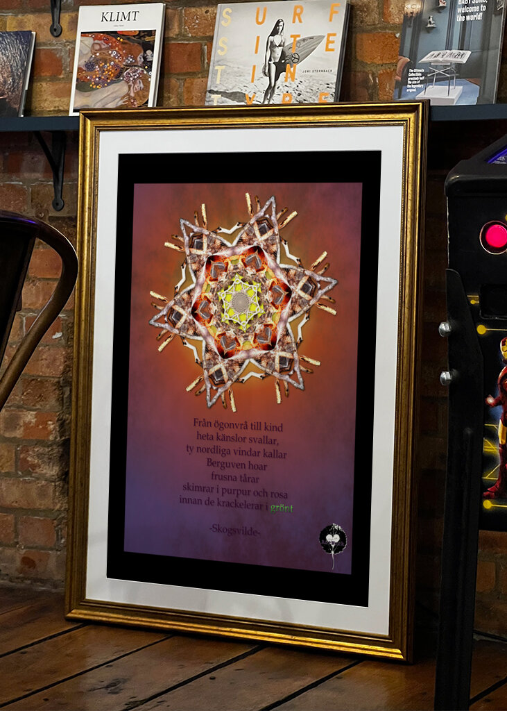 Gazing at the norden lights