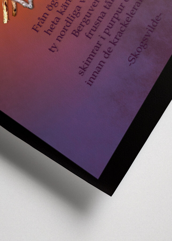 Gazing at the norden lights