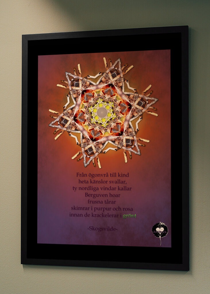 Gazing at the norden lights