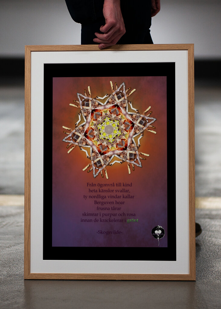 Gazing at the norden lights