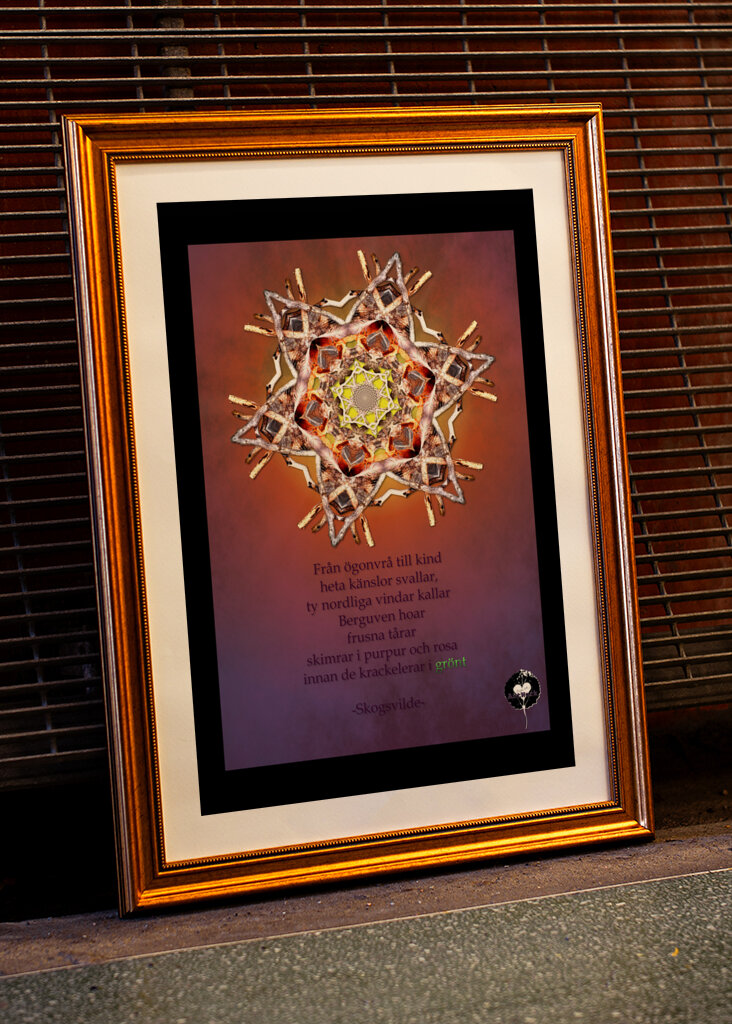 Gazing at the norden lights