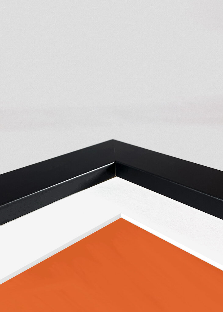 Der brasilianische Tanz