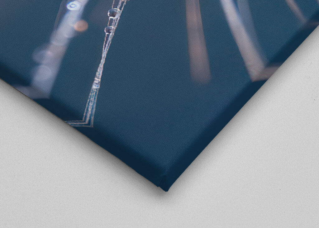 Ein Pusteblumen Schirmchen