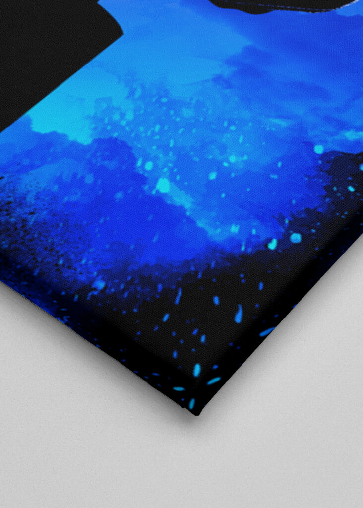 Soul of the Young Assassin