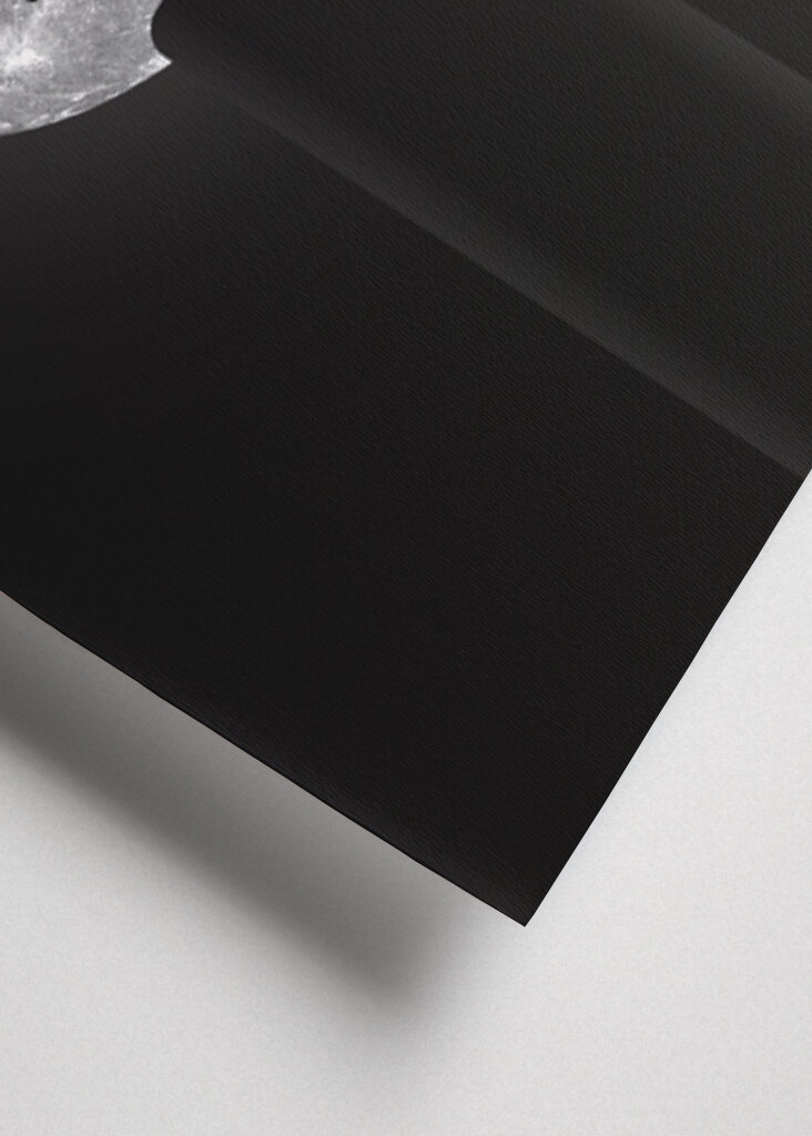 cappucino assassino moon