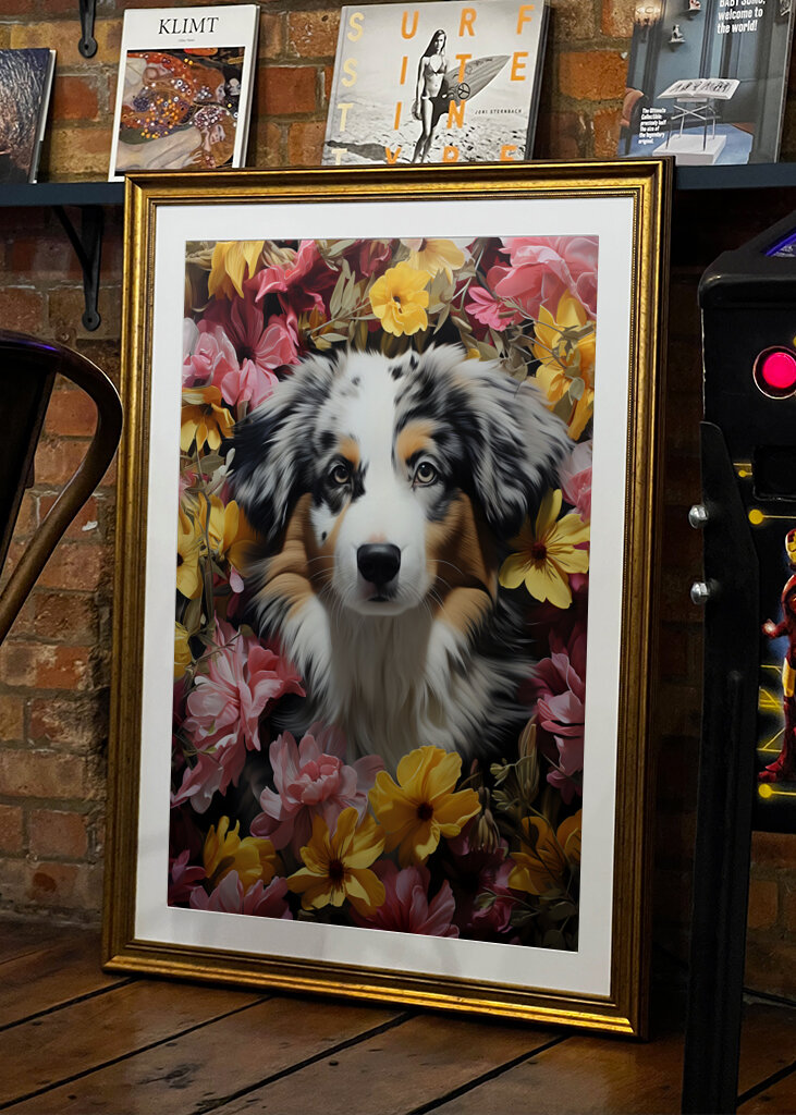 Lovely Pet-Australian Shepherd