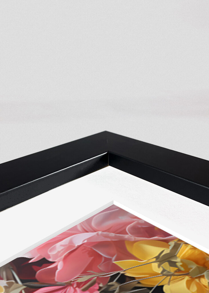 Lovely Pet-Australian Shepherd