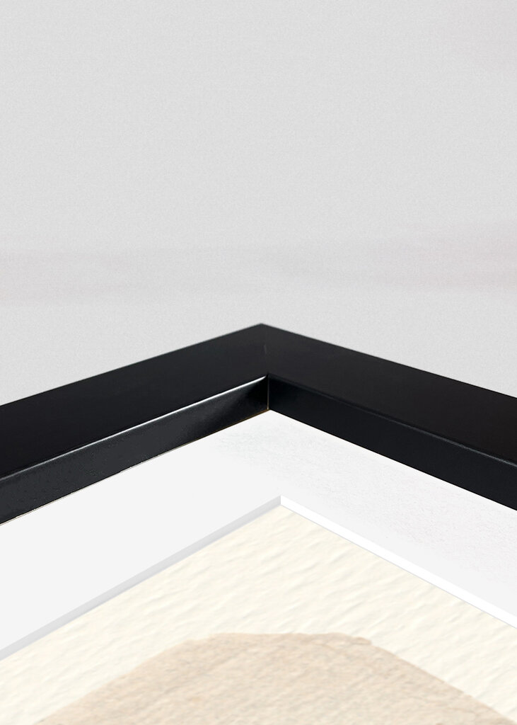 Colourful Flowers In Vase 