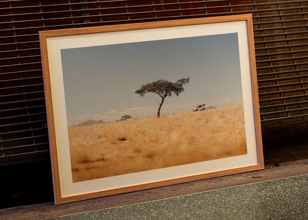 Gennem den namibiske ørken