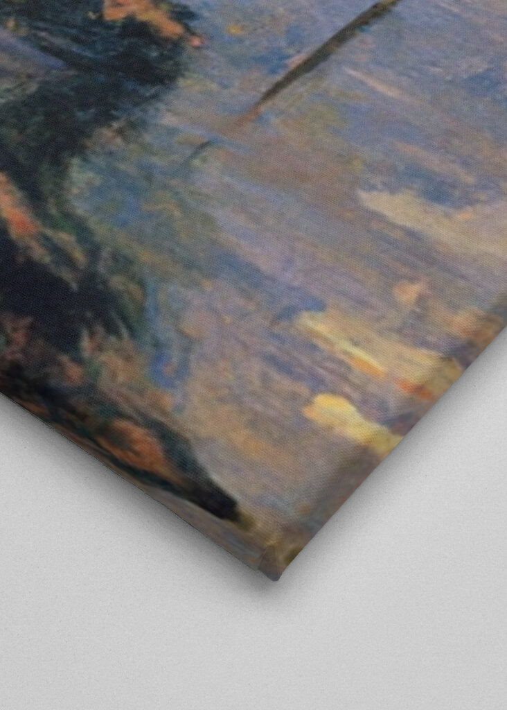 Early Morning Maschsee Duck