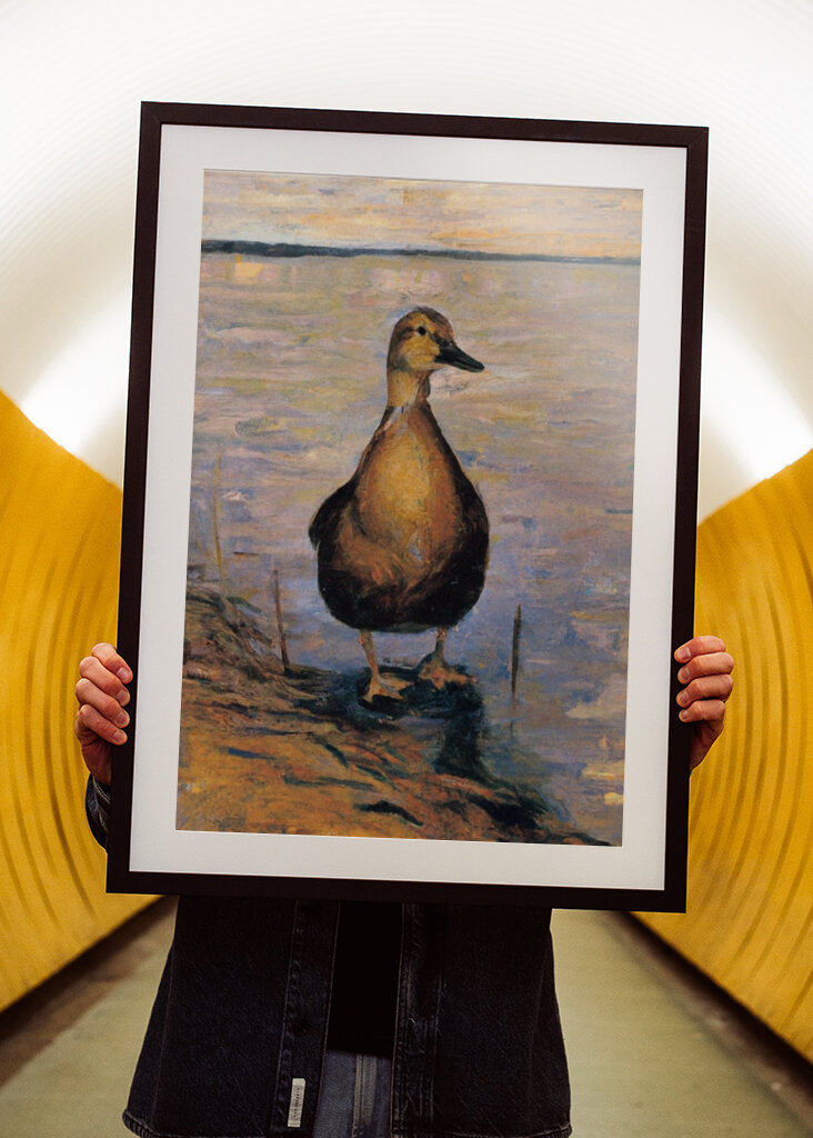 Early Morning Maschsee Duck