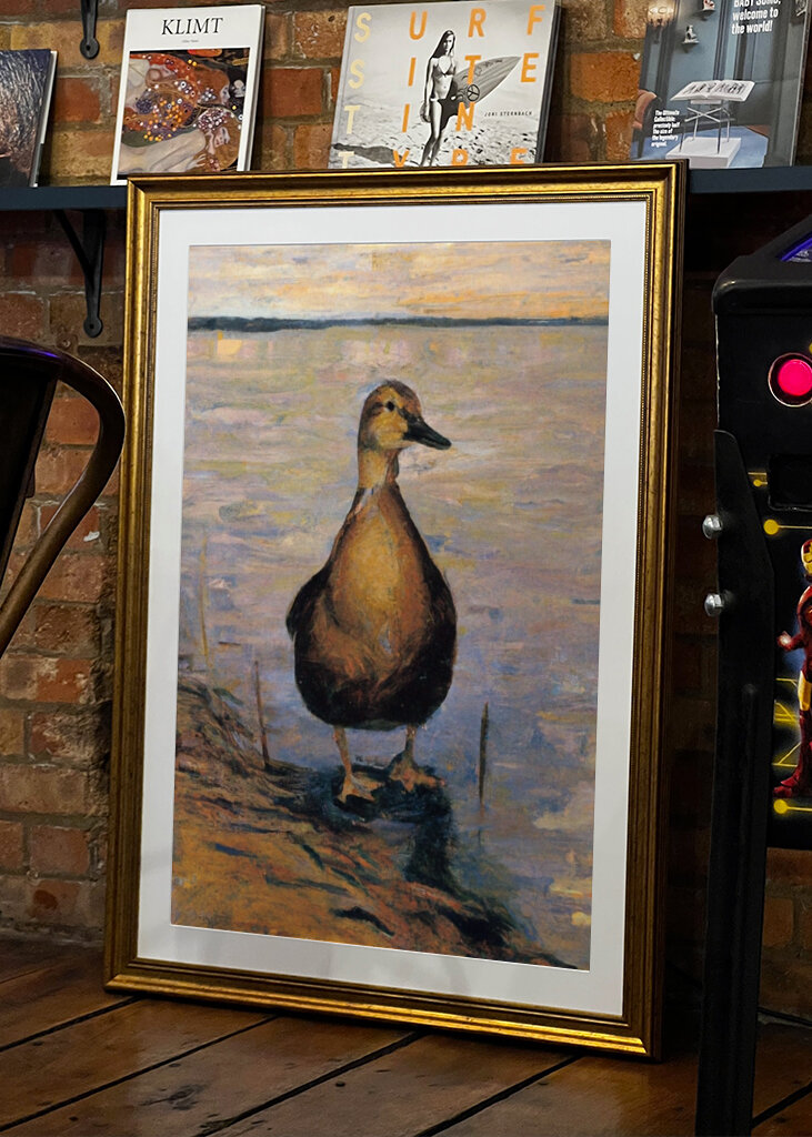 Early Morning Maschsee Duck