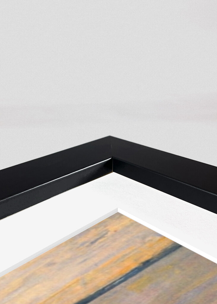 Early Morning Maschsee Duck