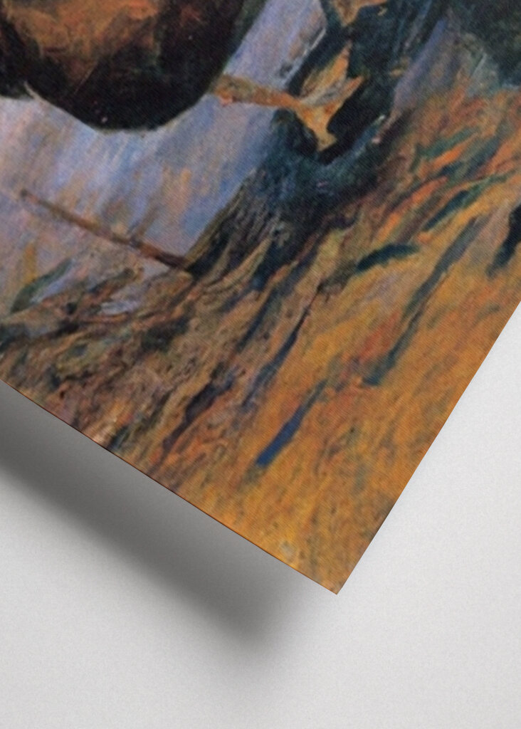 Early Morning Maschsee Duck