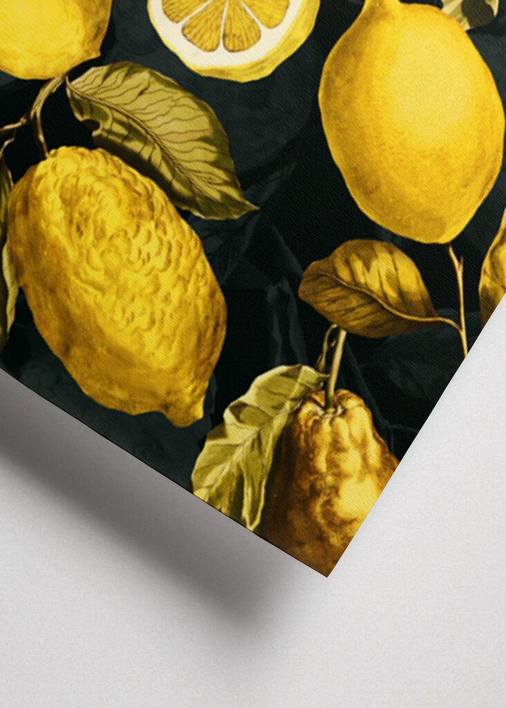 Lemon and Leaf Pattern V