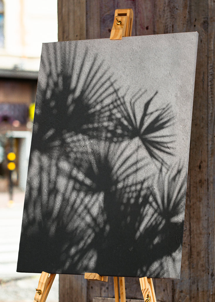 Shadow palm