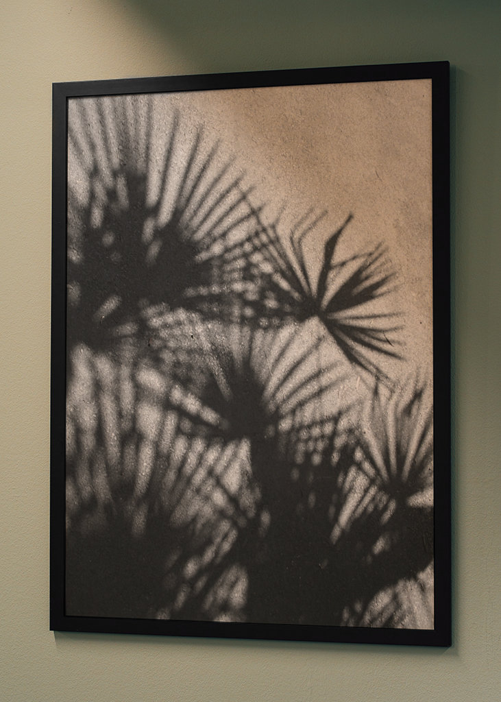 Shadow palm
