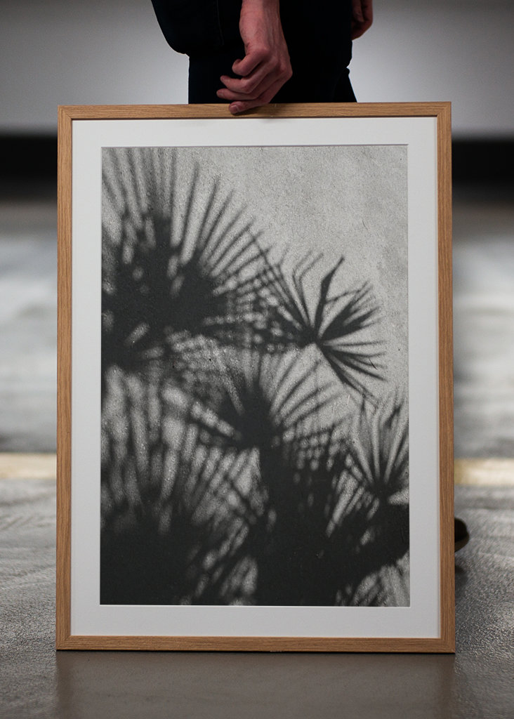 Shadow palm